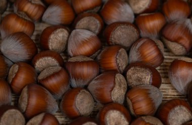 Fındıklar masaya saçılmış. Fındıklar yakın plan.