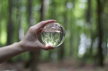 Yeşil ormanın arka planında elinde kristal küre