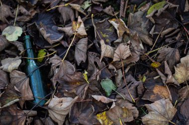 Sonbahar mevsiminde yere düşen yapraklarla kaplı cam şişe. Ormanda çöp.