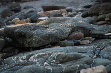 Akşam sahilde Kayalar