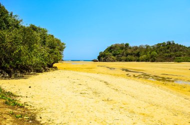 palmiye ağaçları, Tayland ile tropikal plaj