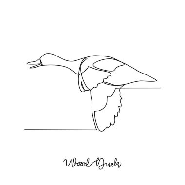 Wood Duck vektör illüstrasyonunun kesintisiz bir çizimi. Kümes hayvanları ve kuş hayvan temalı basit, sürekli çizgi tasarımı konsepti. Kümes hayvanları etleri ve yumurtaları için yetiştirilen evcil kuşlara atıfta bulunurlar..