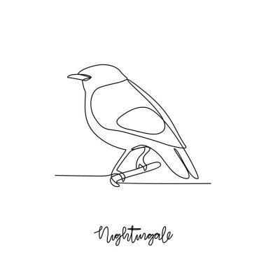 Nightingale vektör illüstrasyonunun kesintisiz bir çizimi. Kümes hayvanları ve kuş hayvan temalı basit, sürekli çizgi tasarımı konsepti. Kümes hayvanları etleri ve yumurtaları için yetiştirilen evcil kuşlara atıfta bulunurlar.