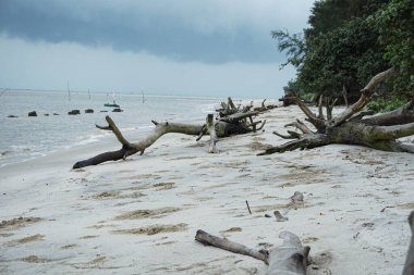 Bulutlu hava ve gökyüzü ile beyaz bir kumsal manzarası