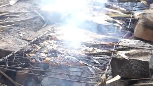 Grilled Fish Uses Heat Fire Smoke Produced Traditional Firewood — Stock Video