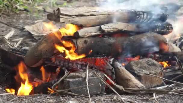 Hagyományos Tűzifa Égetéséből Származó Lángok Mielőtt Grillezésre Használnák — Stock videók