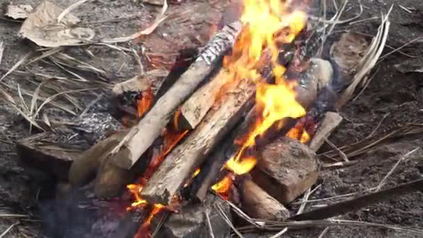 Plameny Hoření Tradičního Dřeva Podpal Před Použitím Grilování Jídla — Stock video