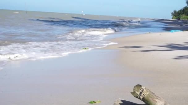 Trozo Madera Borde Playa Golpeado Por Las Olas — Vídeo de stock