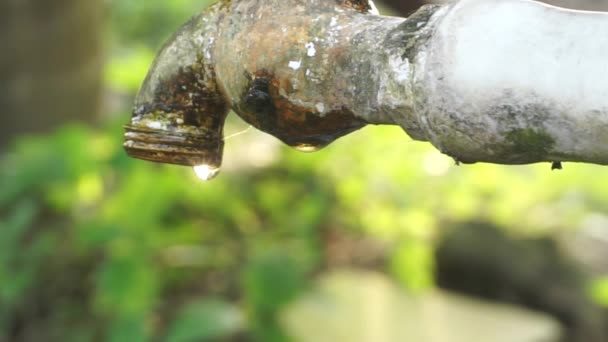 Água Limpa Fresca Que Sai Uma Simples Torneira Ligeiramente Musgosa — Vídeo de Stock