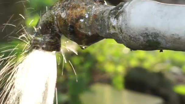Sauberes Wasser Aus Einem Natürlichen Wasserhahn Freien — Stockvideo
