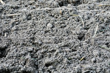 Humus veya çiftçilerin ekmesi için gevşek ve hazır bir toprak.