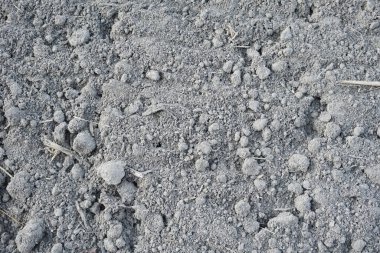 Humus veya çiftçilerin ekmesi için gevşek ve hazır bir toprak.