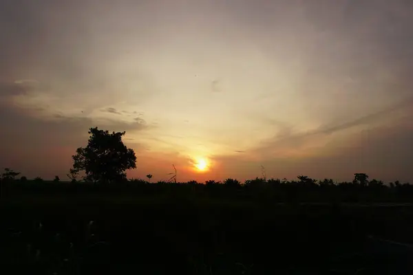 Sunset over quiet rural rice fields