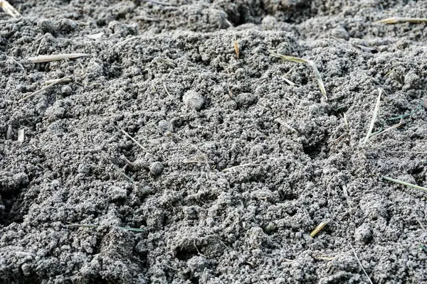 Humus veya çiftçilerin ekmesi için gevşek ve hazır bir toprak.
