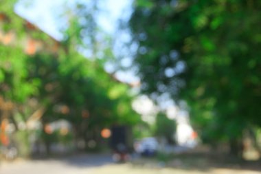 Yeşil ağaçlar, güneş ışığı ve yoldan gelen bulanık arkaplan