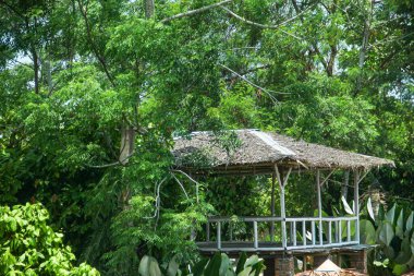 Ağaç kulübeleri ve geleneksel çatılar yemyeşil ağaçların yanında yer alır.