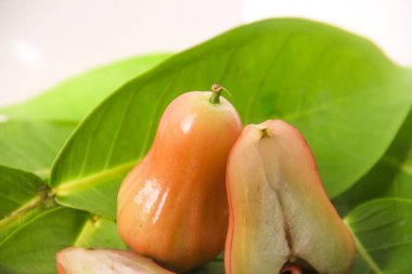 Thongsamsi su guava veya taze kırmızı su guava yeşil yaprak arka planda fotoğraflanmıştır