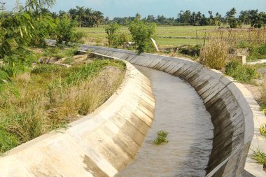 Kırsal bölgelerdeki pirinç tarlalarını sulayan sulama kanalları