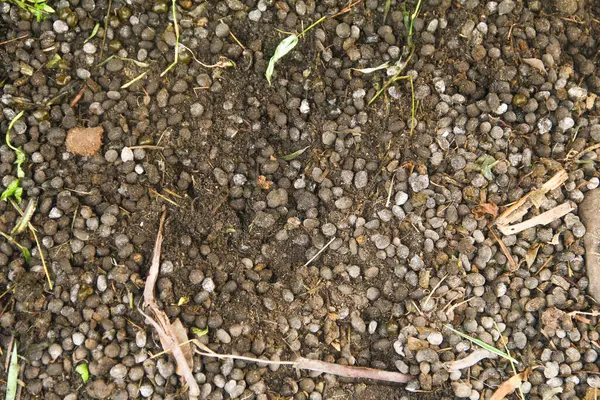 Bitkiler için organik gübre olarak kullanılabilen keçi gübresi.