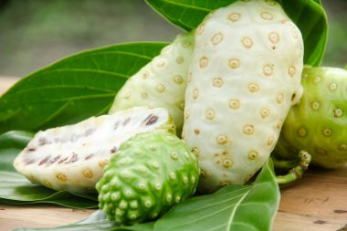 Noni meyvesi veya Morinda citrifolia dilimlenmiş ve doğal bir arka planda meyve ve yapraklarla süslenmiş.