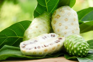 Noni meyvesi veya Morinda citrifolia dilimlenmiş ve doğal bir arka planda meyve ve yapraklarla süslenmiş.