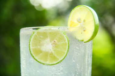 Taze limon dilimli bir bardak soğuk su, ahşap masaya konmuş limon dilimli sağlıklı bir içecek ve doğal arka plan.