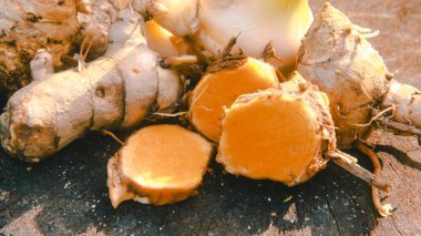 Zerdeçal ya da Curcuma longa linn ya da rhizome kökü, kendine özgü bir rengi ve aroması olan bir tüp bitkisi.