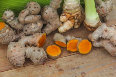 Zerdeçal ya da Curcuma longa linn ya da rhizome kökü, kendine özgü bir rengi ve aroması olan bir tüp bitkisi.