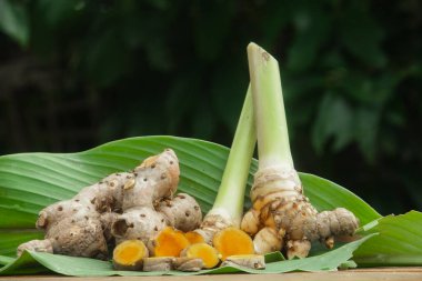 Zerdeçal ya da Curcuma longa linn ya da rhizome kökü, kendine özgü bir rengi ve aroması olan bir tüp bitkisi.