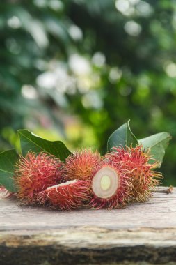 Rambutan fruit or Nephelium lappaceum L is a tropical fruit from the Sapindaceae family. This fruit is widely available in Indonesia clipart