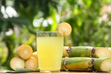 Şeker kamışı suyundan, sıkılmış şeker kamışı suyundan şeker kamışı sapları ve doğal arkaplanından iç.