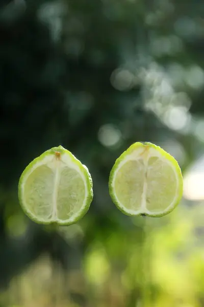 stock image Levitation from Citrus hystrix or kaffir lime or bergamot fruit