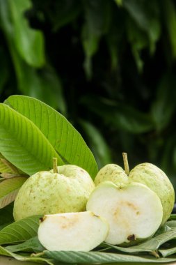 Kristal guava ya da Psidium guajava, doğal arka planı olan bir masada dilimlenmiş kristal guava.