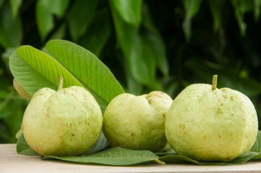 Kristal guava veya Psidium guajava, tüm kristal guava ahşap bir masa üzerine dizilmiş