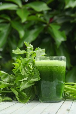 Kereviz suyu, kerevizden yapılmış sağlıklı yeşil içecek taze yeşil kereviz yapraklarıyla süslenmiş yeşil kereviz suyu.