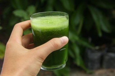 Kereviz suyu, kerevizden yapılmış sağlıklı yeşil içecek taze yeşil kereviz yapraklarıyla süslenmiş yeşil kereviz suyu.