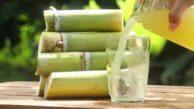 Sıkışmış sarı şeker kamışı suyundan ya da Poaceae ailesinin bir parçası olan Saccharum officinarum L, sıkılmış şeker kamışı suyundan yapılan bir içecek.