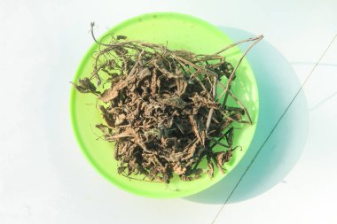 Kurumuş çimen reçeli yaprakları veya yeşil bir tabağa konmuş Mesona çinisi, siyah çimen jölesi yapmak için hammadde olarak Mesona çingenesi.