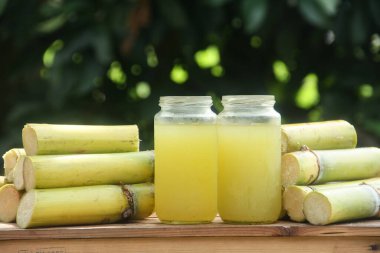 Sıkışmış sarı şeker kamışı suyundan ya da Poaceae ailesinin bir parçası olan Saccharum officinarum L 'den yapılan bir içecek sıkılmış şeker kamışı suyundan yapılan ve taze şeker kamışı saplarıyla güzelce düzenlenmiş bir içecek.