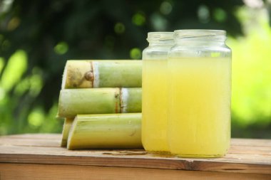 Sıkışmış sarı şeker kamışı suyundan ya da Poaceae ailesinin bir parçası olan Saccharum officinarum L 'den yapılan bir içecek sıkılmış şeker kamışı suyundan yapılan ve taze şeker kamışı saplarıyla güzelce düzenlenmiş bir içecek.