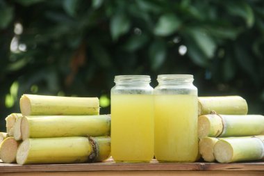 Sıkışmış sarı şeker kamışı suyundan ya da Poaceae ailesinin bir parçası olan Saccharum officinarum L 'den yapılan bir içecek sıkılmış şeker kamışı suyundan yapılan ve taze şeker kamışı saplarıyla güzelce düzenlenmiş bir içecek.