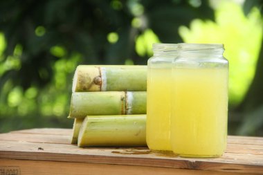 Sıkışmış sarı şeker kamışı suyundan ya da Poaceae ailesinin bir parçası olan Saccharum officinarum L 'den yapılan bir içecek sıkılmış şeker kamışı suyundan yapılan ve taze şeker kamışı saplarıyla güzelce düzenlenmiş bir içecek.