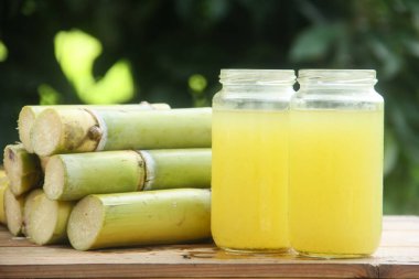 Sıkışmış sarı şeker kamışı suyundan ya da Poaceae ailesinin bir parçası olan Saccharum officinarum L 'den yapılan bir içecek sıkılmış şeker kamışı suyundan yapılan ve taze şeker kamışı saplarıyla güzelce düzenlenmiş bir içecek.