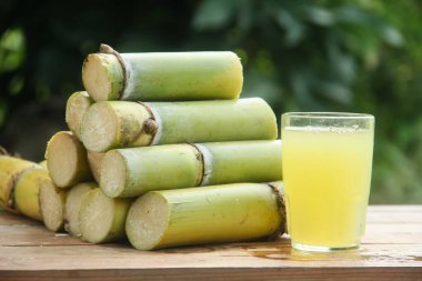 Sıkışmış sarı şeker kamışı suyundan ya da Poaceae ailesinin bir parçası olan Saccharum officinarum L 'den yapılan bir içecek sıkılmış şeker kamışı suyundan yapılan ve taze şeker kamışı saplarıyla güzelce düzenlenmiş bir içecek.