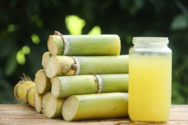 Sıkışmış sarı şeker kamışı suyundan ya da Poaceae ailesinin bir parçası olan Saccharum officinarum L 'den yapılan bir içecek sıkılmış şeker kamışı suyundan yapılan ve taze şeker kamışı saplarıyla güzelce düzenlenmiş bir içecek.