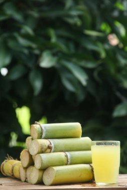 Sıkışmış sarı şeker kamışı suyundan ya da Poaceae ailesinin bir parçası olan Saccharum officinarum L 'den yapılan bir içecek sıkılmış şeker kamışı suyundan yapılan ve taze şeker kamışı saplarıyla güzelce düzenlenmiş bir içecek.