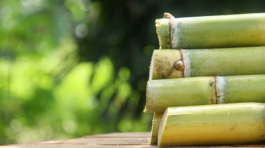 Taze toplanmış sarı şeker kamışı sapları doğal bir arka planı olan bir masanın üzerine yerleştirilmiş.