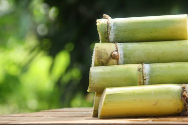 Taze toplanmış sarı şeker kamışı sapları doğal bir arka planı olan bir masanın üzerine yerleştirilmiş.