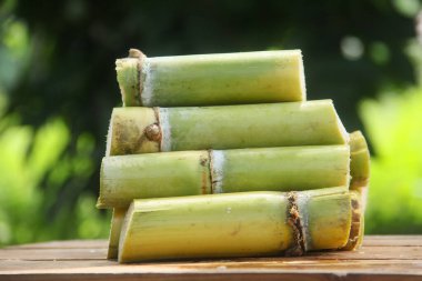 Taze toplanmış sarı şeker kamışı sapları doğal bir arka planı olan bir masanın üzerine yerleştirilmiş.