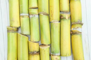 Taze sarı şeker kamışı sapları ya da masadaki Saccharum ofisinin şekli